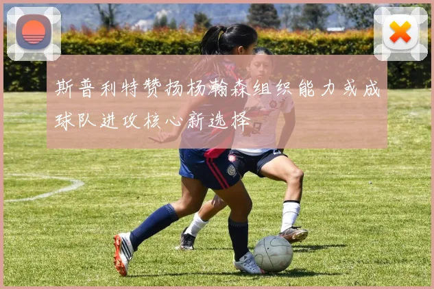 斯普利特赞扬杨瀚森组织能力或成球队进攻核心新选择