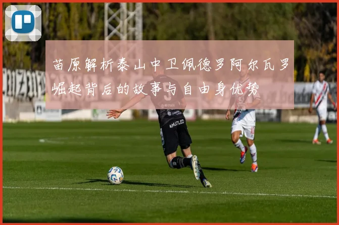 苗原解析泰山中卫佩德罗阿尔瓦罗崛起背后的故事与自由身优势
