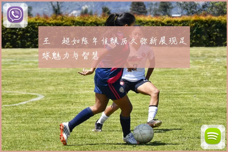 王燊超如陈年佳酿历久弥新展现足球魅力与智慧