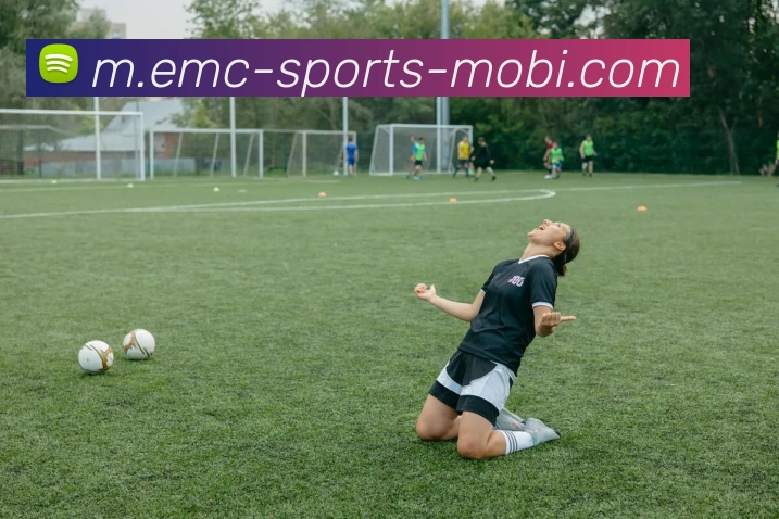 易倍体育平台生态图